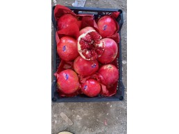 رمان طازج بجوده عاليه 
