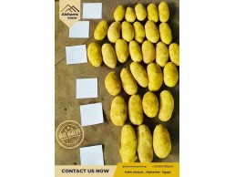 Egyptian potatoes 