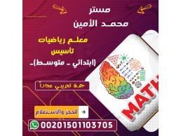 معلم رياضيات أون لاين 