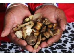฿£⓫SANGOMA +27764410726 A TRADITIONAL HEALER in Port Elizabeth  / A SPELL CASTER AND A SPIRITUAL HEA