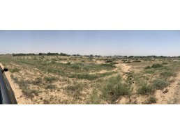  اراضي للبيع من المطور مباشرة بأمارة عجمان منطقة الحليو 2 بموقع متميز جدا بدون عمولات 