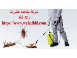 اقوي شركة مكافحة حشرات في ابوظبي0508084006