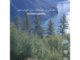 سائق عربي في لوقانو و كومو  00393475659412 سويسرا 