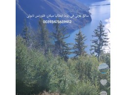 مرشد سياحي في روما ميلانو فلورنس  00393475659412