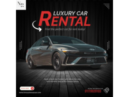 Hyundai Elantra for rent with driver _ standard car 