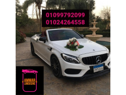 Wedding car rental in Egypt // 豪华汽车租赁