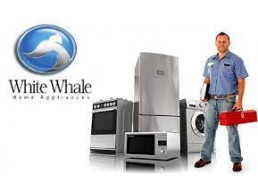 مركز صيانة تلاجات وايت ويل ابو تلات 01023140280