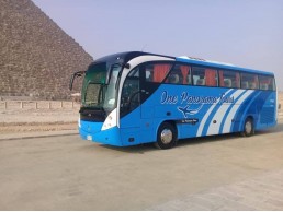  تأجير باص 50 راكب لدهب: مثالي للرحلات مع شركه ليموزين مصر