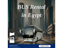 Rent a Tourist Bus: Luxor in One Day