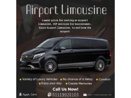 Rent a Mercedes: Your Chauffeur-Driven Ride Awaits