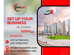 Fast & Easy Business Setup in UAE | PRO Assistance