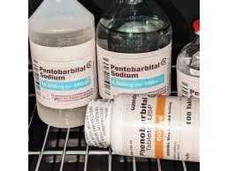 pure nembutal pentobarbital  sodium for sale in liquid, pills and powder form