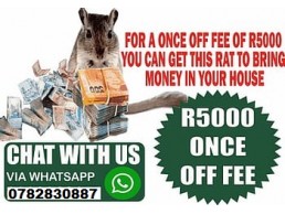 Money Spell Magic Ring Wallet And Rats In Rustenburg, Klerksdorp And George City Call ☏ +27782830887