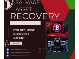 CONTACT A CRYPTOCURRENCY RECOVERY AGENCY. FOR HIRE, -CONSULT SALVAGE ASSET RECOVERY