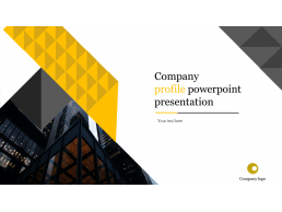 Company Profile PPT Services