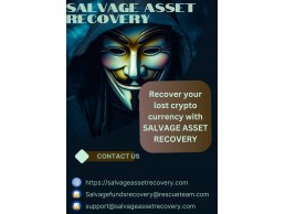 HOW TO RESTORE BACK LOST BITCOIN AND ETHEREUM- CONTACT SALVAGE ASSET RECOVERY 