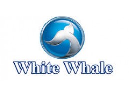 توكيل وايت ويل فرع الواسطى 01210999852 رقم الادارة 0235700997